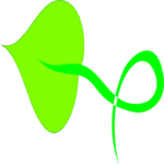 Leaf 078