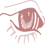 Eye 16