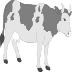 Cow 11