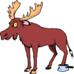 Moose - Stuck in Pan