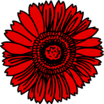 Flower 153