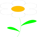Flower 111