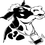 Cow 13