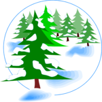Trees in Winter 1