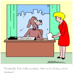 Cross-Training Dog
