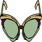 Sunglasses 47