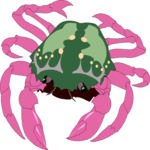 Crab 08