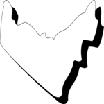 United Arab Emirates 3