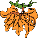 Leaf 097