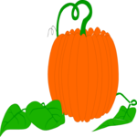 Pumpkin 008