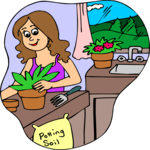 Potting Plants