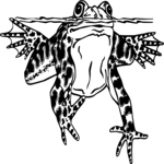 Frog 06