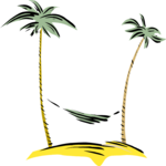 Palm Trees 13