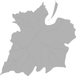 Leaf 052