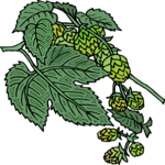 Leaves 75