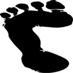 Footprint - Left 1