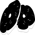 Bread 5