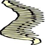 Spine 5