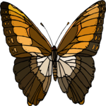 Butterfly 118