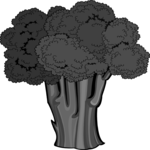 Broccoli 01