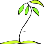 Stem Bare