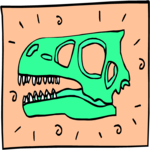 Dinosaur Skull 13