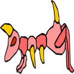 Bug 002