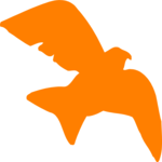 Bird 34