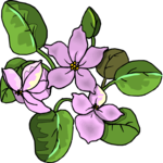 Flower 339