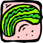 Zucchini 2