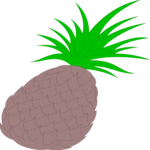 Pineapple 09