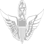 Badge 035