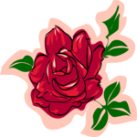 Rose 01