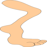 Leg 01