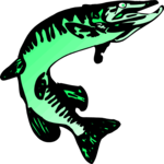 Fish 025