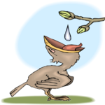 Bird Feeding