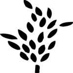 Leaf 042