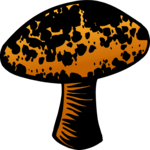 Mushroom 2