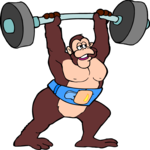 Weight Lifter - Gorilla