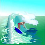 Surfer 28