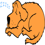 Dog Sleeping 3