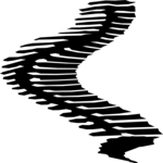 Spine 1