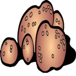 Potatoes 04