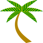 Palm Tree 35