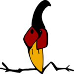 Crow Creature Splits