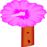 Hibiscus 3