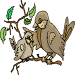 Bird & Chick