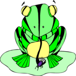 Frog 27