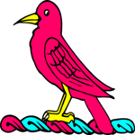 Coot 2