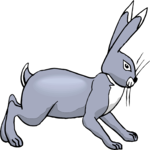 Rabbit 25